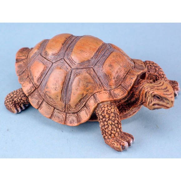 Tortoise, 13cm