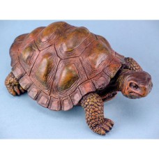 Tortoise, 16cm