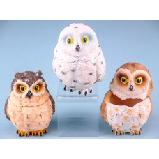 Owl Box, 8.5cm, 3 assorted
