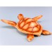 Wood Effect Turtle, 18cm