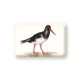 Meg Hawkins Oystercatcher Magnet