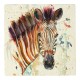 Meg Hawkins Colourful Zebra Stone Coaster