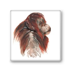 Meg Hawkins Orangutan Stone Coaster