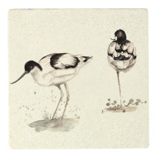 Meg Hawkins Avocet Stone Coaster