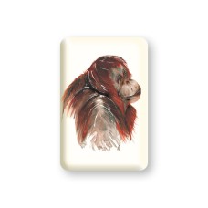 Meg Hawkins Orangutan Magnet