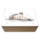 Meg Hawkins Seal Mother & Baby Box, 15x10cm