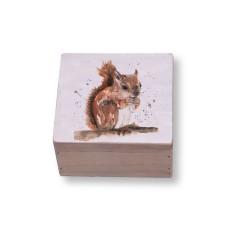 Meg Hawkins Squirrel Box, 9cm