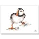 Meg Hawkins Curious Puffin Tea Towel