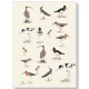 Meg Hawkins Waders Tea Towel