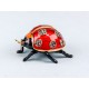 Cloisonne Ladybird, 6cm