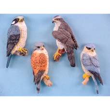 Birds of Prey Magnets, 9cm, 4 assorted