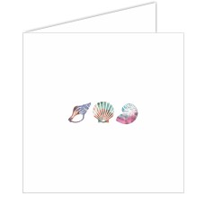 Shells Greeting Card