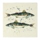 Meg Hawkins Mackerel Stone Coaster