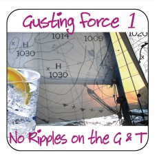 Coaster - Salty Saying - Gusting Force