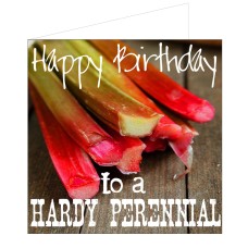 Greeting Card - Hardy Perennial