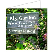 Greeting Card - In Bloom, Sorry You Missed It