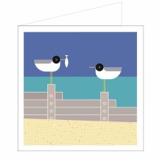 All at Sea Card - Pecking Order