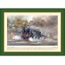 Steam Train Tablemats (6), 29x21cm