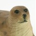 Harbour Seal, 18cm