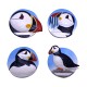 Puffin Head Magnets, 6cm, 4 assorted