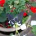 Metal Butterfly Silhouette Plant Pot Stake, 44cm