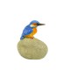 Kingfisher on Stone
