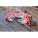 Coral Creatures - Crab, 28cm