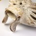 Coral Creatures - Manta Ray, 44cm