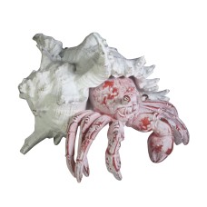 Coral Creatures - Hermit Crab, 19cm