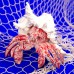 Coral Creatures - Hermit Crab, 19cm