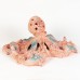 Coral Creatures - Octopus, 28cm