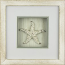 Starfish Framed Décor, 23cm