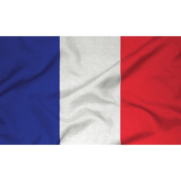 Courtesy Flag - France, 30x45cm