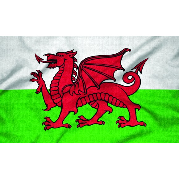 Courtesy Flag - Welsh Dragon