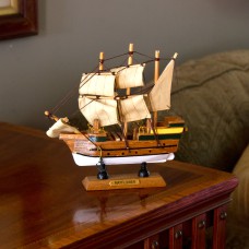 Mayflower, 20cm